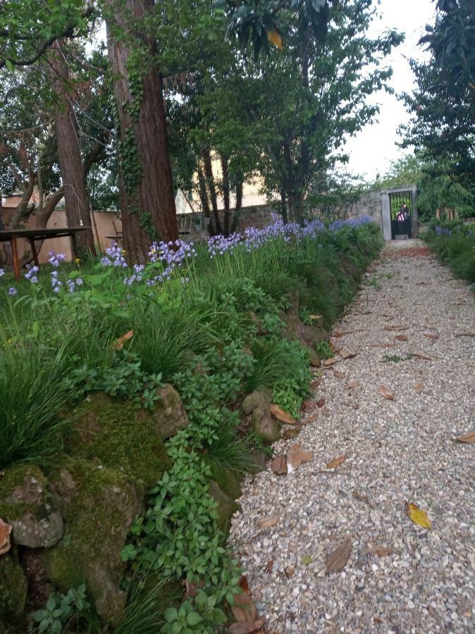 B&B Villa Gualterio บอลเซนา ภายนอก รูปภาพ